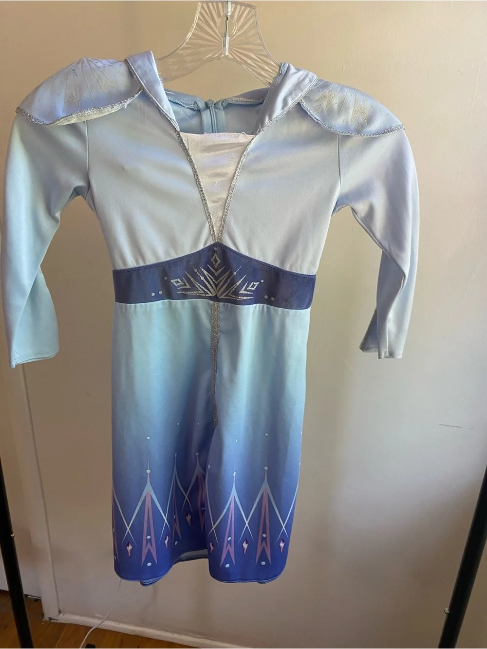 Disney Frozen 2 Elsa Costume Dress Girls Size __